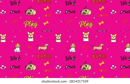 Lindo perro sin 