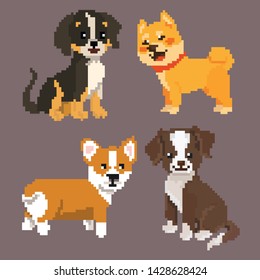 cute dog Shiba inu, corgi. pixel vector