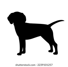 Cute dog silhouette. Charming and adorable character, strong pet standing. Biology, nature and mammal. Poster or banner for website. Friend of human, domestic. Cartoon flat vector illustration