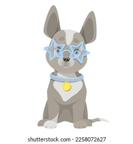 Cute dog sits in blue glasses stars