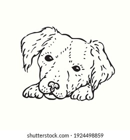 Cute dog, sitting, face on paws. Ink black and white drawing. Vector illustration