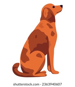 Cute dog sitting over white