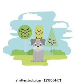 cute dog sitting in the park