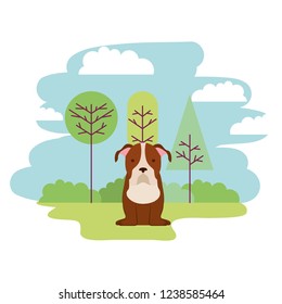 cute dog sitting in the park