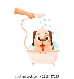 Cute Dog Sitting in Tub Bathing with Showerhead Pouring Water as Domestic Pet Grooming Vector Illustration