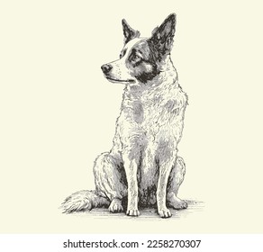 Cute dog sketch hand drawn image. Vintage style. Vector illustration