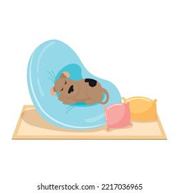 Cute dog sleeping on a pillow couch Vector