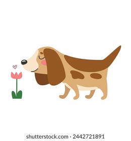 Cute dog sniff flower in spring. Funny puppy walking in summer. Happy pet, domestic animal, beagle breed. Cartoon character, hand drawn vector illustration. Flat design.