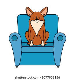 cute dog in sofa character