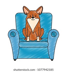 cute dog in sofa character