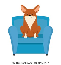 cute dog in sofa character