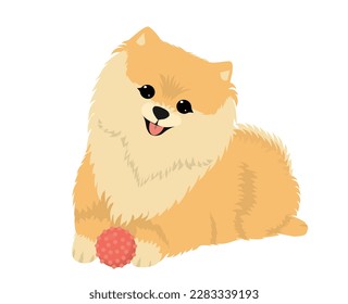 Cute dog spitz with a ball Vector flat illustrations