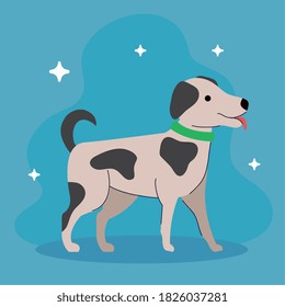 cute dog with spotted of black color vector illustration design