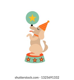 Cute Dog Standing On Stage With Ball, Funny Animal Performing In Circus Show Vector Illustration