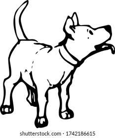 cute dog standing with tongue and tail