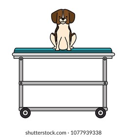 cute dog in stretcher character