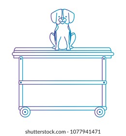 cute dog in stretcher character