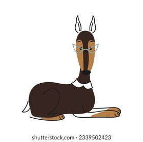 Cute dog in suit. Linear adorable doberman pet in elegant glasses and collar. Doodle print in line art style with puppy for social media. Cartoon flat vector illustration isolated on white background