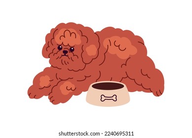 Cute dog of Toy Poodle breed waiting for feed near canine bowl. Funny curly puppy. Fuzzy wavy hairy doggy, miniature fluffy purebred pup. Flat vector illustration isolated on white background