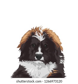cute dog vector half body poster with white background