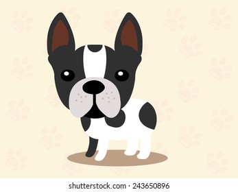Cute dog  - vector set of icons and illustrations