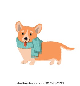 cute dog in warm scarf, vector holiday clipart with corgi, children's illustration with cartoon character good for card and print design