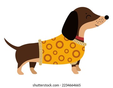 Cute dog in warm sweater on white background