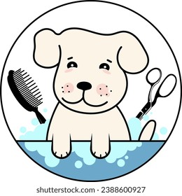 Cute dog is washed, groomer scissors and comb. Design for groomer salon