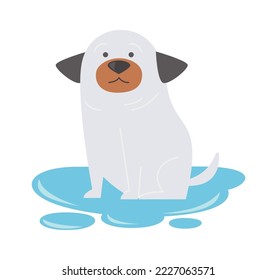 Cute dog in water puddle flat icon Cleaning and grooming