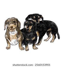 Cute Dog watercolor style illustration