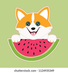 Cute dog with watermelon on green background. The welsh corgi. Vector illustration in cartoon style. Hello august. Funny character.