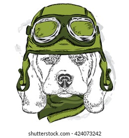 Cute dog wearing a helmet . Biker . Vector illustration. Design element for printed products or prints on clothes and accessories .