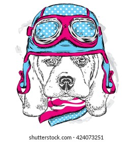 Cute dog wearing a helmet . Biker . Vector illustration. Design element for printed products or prints on clothes and accessories .