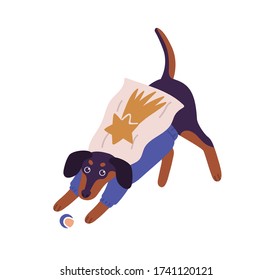 Cute dog wearing superhero costume playing with ball vector flat illustration. Adorable domestic animal having fun isolated on white background. Joyful pet dressed in colorful apparel