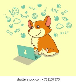 Cute dog of welsh corgi learning with laptop. Vector illustration. For cards, calendars, posters.