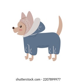 Cute Dog In Winter Clothes. Funny Chihuahua Puppy In Warm Hat, Jacket Or Jumpsuit. Cold Weather Pets Care Outfit Vector Illustration