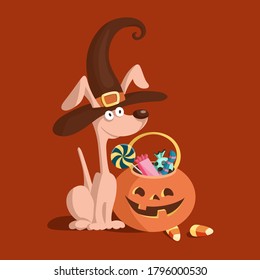 Cute dog in a witch costume with a pumpkin for Halloween sweets. Cartoon vector illustration.