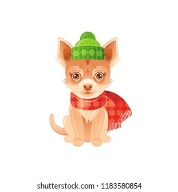 Cute dog with xmas symbols icon. Merry Christmasan winter holiday chihuahua puppy in knitted scarf and hat, sweet sign isolated on white background