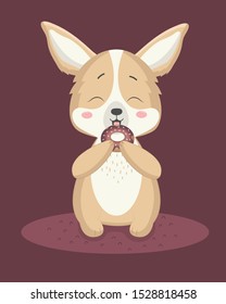 Cute doggie corgi with a donut on a dark background