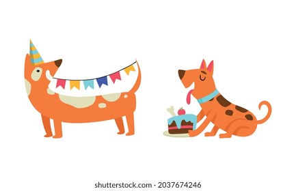 Cute Doggy Character in Birthday Hat Celebrating Holiday Vector Set