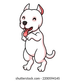 Cute dogo argentino dog cartoon 