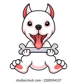 Cute dogo argentino dog cartoon holding a bone