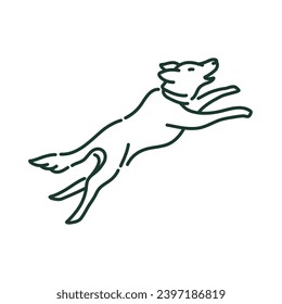 Cute Dogs Activities and Playing Dog 7