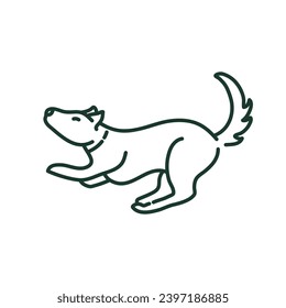 Cute Dogs Activities and Playing Dog 8