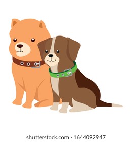 cute dogs animals isolated icon vector illustration design
