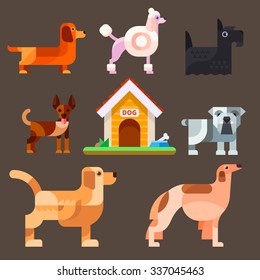 Cute dogs around the kennel: poodle, dachshund, setter, greyhound, chihuahua, bulldog, French bulldog, kennel. Flat vector illustration set.