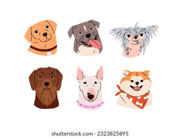 El conjunto de avatares de perros. Razas caninas, perros cabeza retratos. Ampollas adorables, hocicos de toro terrier, pudelpuntero, cachorros shiba inu, crías. Ilustraciones vectoriales planas aisladas en fondo blanco