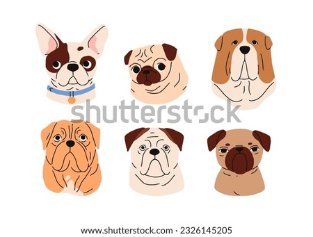 Cute dogs avatars set. Funny puppies, doggies faces, heads portraits. Adorable muzzles, snouts of different canine animal breeds, pug, bulldog. Flat vector illustrations isolated on white background
