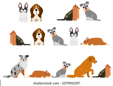 cute dogs border set