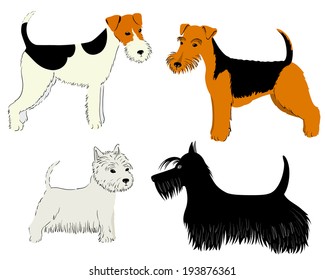 Cute dogs breeds set - Terrier collection